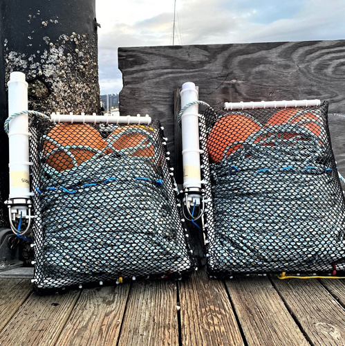 Desert Star ropeless fishing system