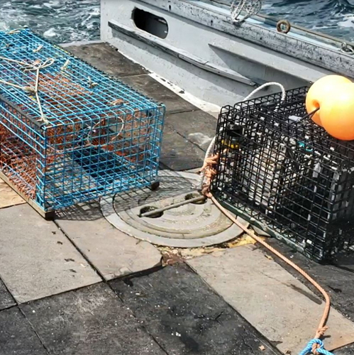 Edge Tech ropeless fishing system